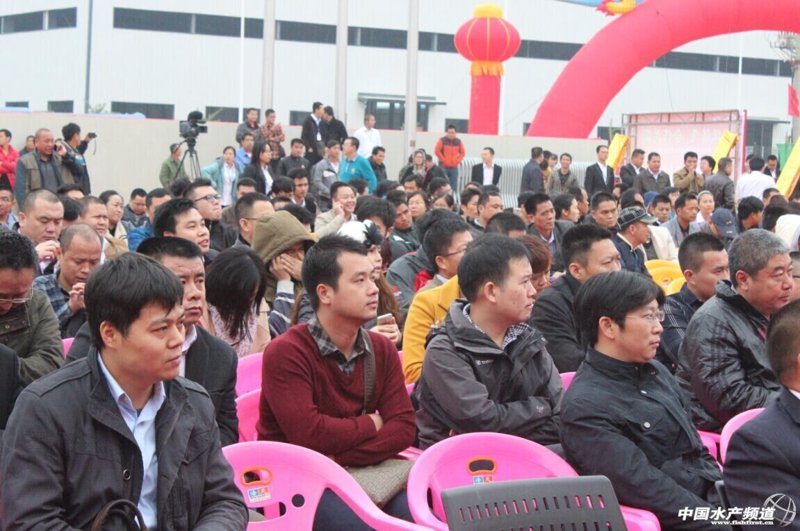 河南水产批发市场动态观察