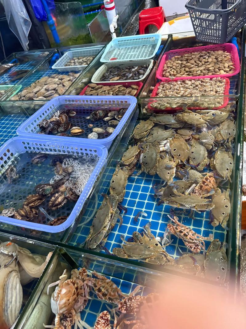 海鲜批发：新鲜食材的供应商
