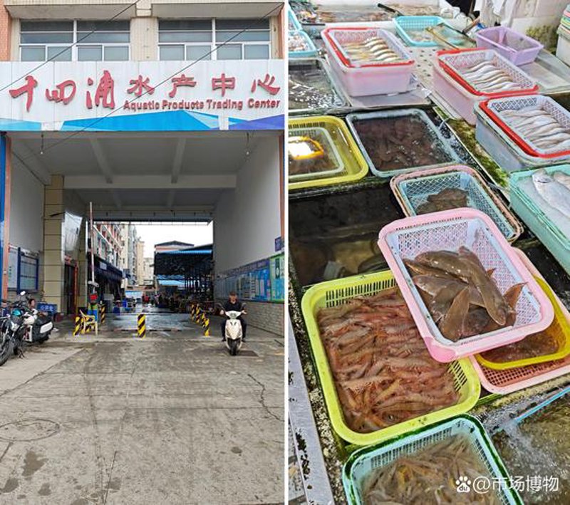 海鲜批发行业的最新趋势与挑战