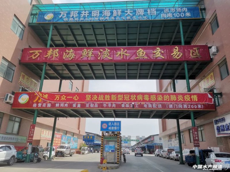 河南水产批发：行业的活力与变化