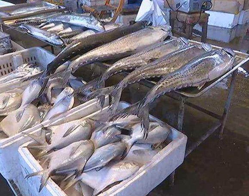 河南海鲜批发