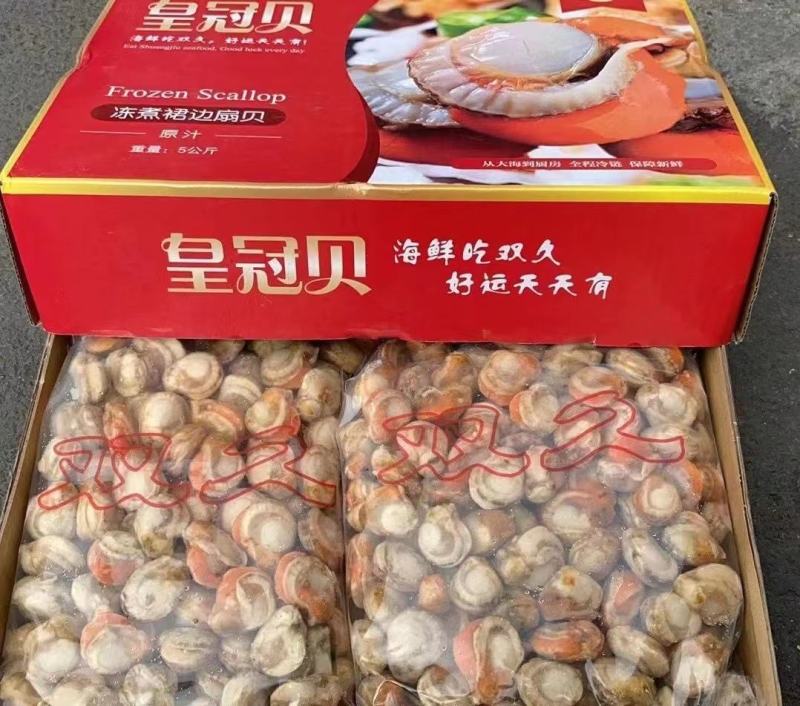 冷冻水产批发选购指南