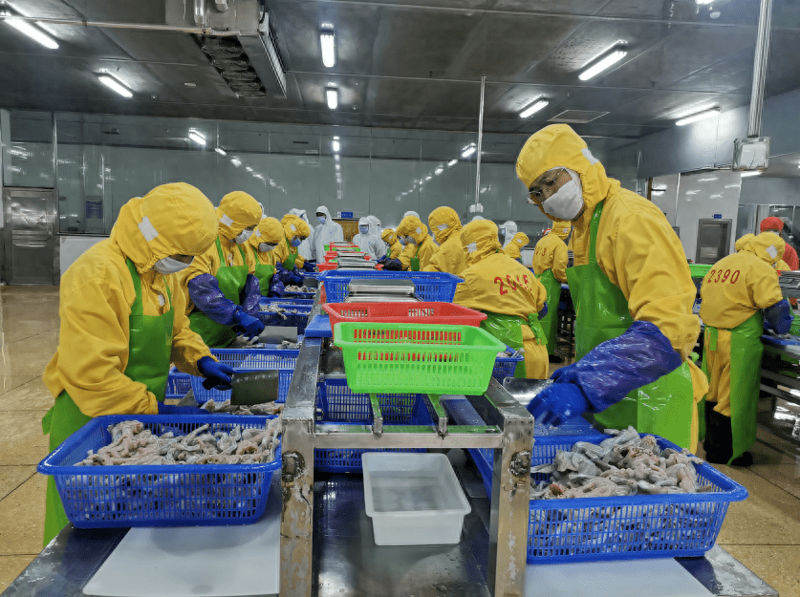 河南水产批发市场：一片生机盎然的鱼虾天地