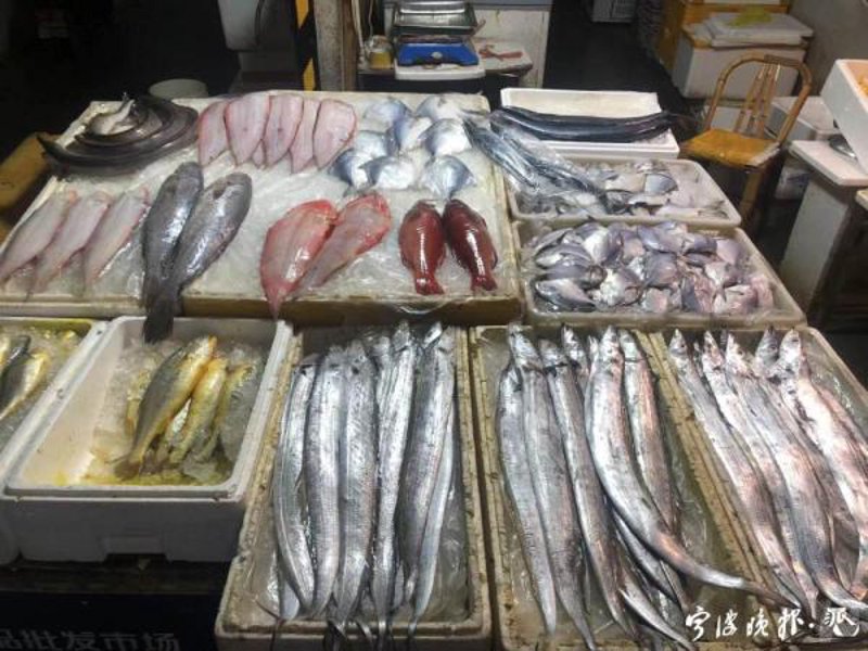鲜活水产市场中的灵动旋律