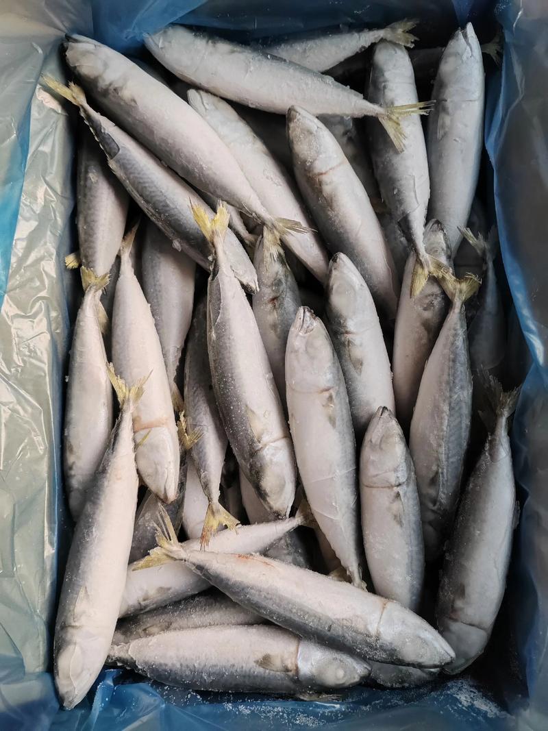 河南水产批发行业：水产品的生动市场画卷